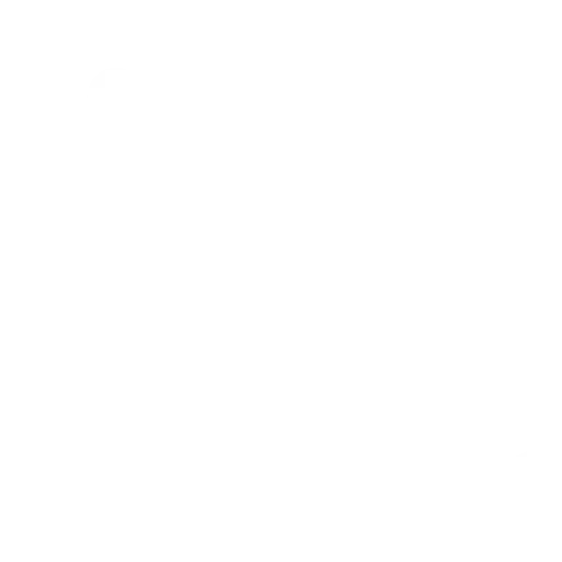 leader