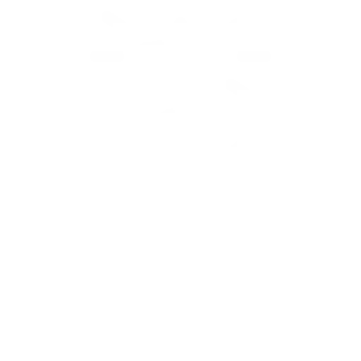 leadership