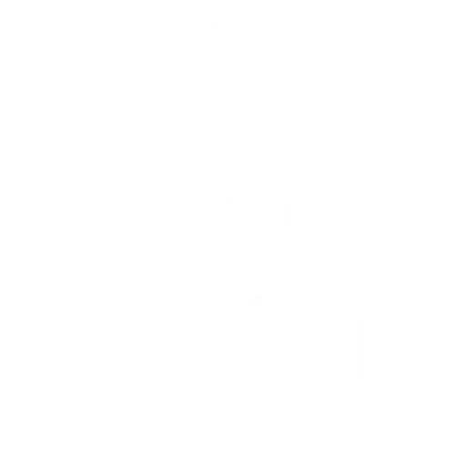 skill-development